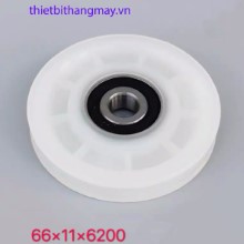 Bánh xe cửa thang máy 66*11*6200RS